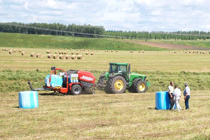 Необычно выглядят на полях фермера Владимира Васильевича Красавина рулоны сена и сенажа в сетках и пленке